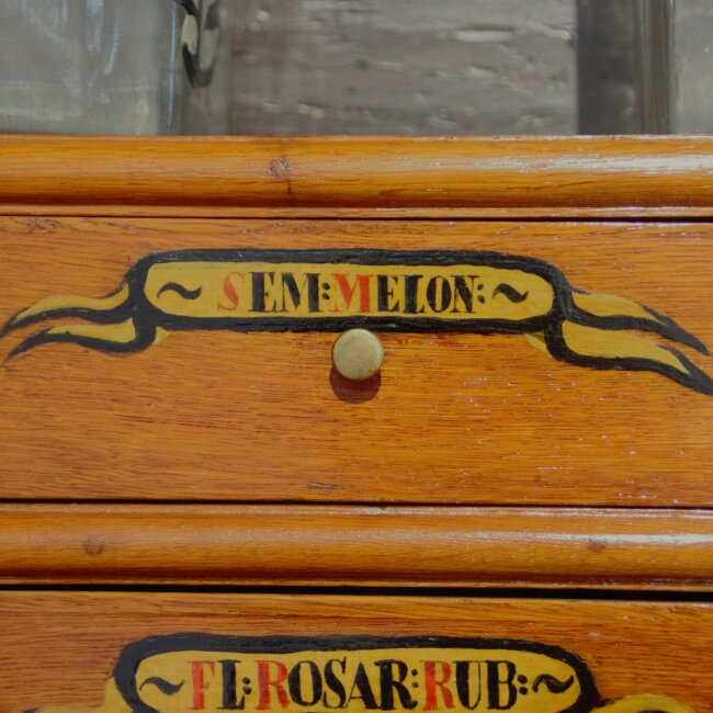 Nově objevená super potravina